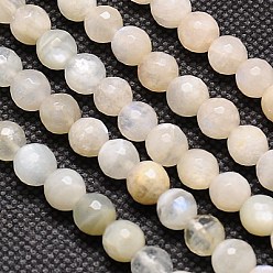 White Moonstone Натуральный белый лунный камень бисер пряди, граненые, круглые, навахо белый, 6 мм, отверстие : 1 мм, около 60 шт / нитка, 15.2 дюйм