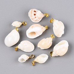 Golden Brass & Natural Spiral Shell Pendants, Conch Charms, PapayaWhip, Golden, 16~33x9~22x8~19mm, Hole: 4~5x3.5mm