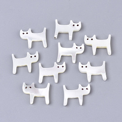 Трохус Шелл Натуральная оболочка, форма кошки, 11.5x14x2 мм, отверстие : 0.8 мм