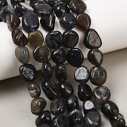 Айолит Нити из натурального иолита / кордиерита / дихроита, самородки, 10~14x10~12x4~7 мм, отверстие : 1 мм, около 36~43 шт / нитка, 13.78~15.35'' (35~39 см)