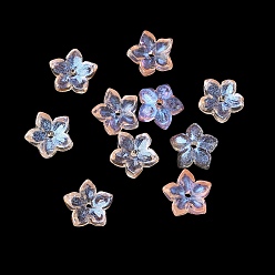 Средний Фиолетовый Окрашенные и нагретые стеклянные колпачки для бусин, 5-лепестков цветка, средне фиолетовый, 9x9.5~10x3.8 мм, отверстие : 1 мм