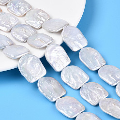 Морская Ракушка Нити бусин из натурального зернистого жемчуга кеши в стиле барокко, культивированный пресноводный жемчуг, арка, цвет морской раковины, 24.5~33.5x20~22x3~8 мм, отверстие : 0.6 мм, около 14~15 шт / нитка, 14.37~15.55 дюйм (36.5~39.5 см)