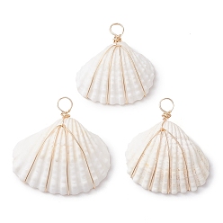 Золотой Подвески-ракушки из медной проволоки, подвески в форме ракушек, золотые, 27.5~32x26.5~32x9~11.5 мм, отверстие : 4.2~4.5 мм