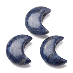 Содалитовое Бусины из природных содалитом, 3d форма полумесяца, Топ пробуренной, 25~25.5x20~21x9~10.5 мм, отверстие : 2.5 мм