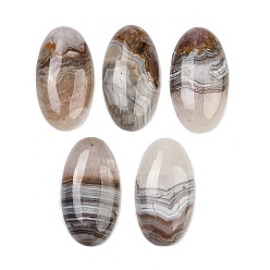 Натуральный Агат Подвески из натурального аметиста и кружевного агата, овальные амулеты, класс b, 48x26x8 мм, отверстие : 1.4 мм