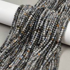 Кианит Натуральный кианитовые бисер пряди, граненые круглые, 3.5 мм, отверстие : 0.6 мм, около 115 шт / нитка, 15~15.12'' (38.1~38.4 см)