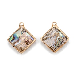 Paua Shell Natural Paua Shell Pendants, with Golden Brass Findings, Rhombus, 19x16x3.5mm, Hole: 1.5mm