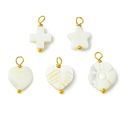 Морская Ракушка 5шт 5 стили подвески из натуральных ракушек, крест звезда цветок сердце подвески, с золотым оттенком 304 петли из нержавеющей стали, разнообразные, цвет морской раковины, 15~17x9.5~12x3~4 мм, отверстие : 3 мм, 1 шт / стиль