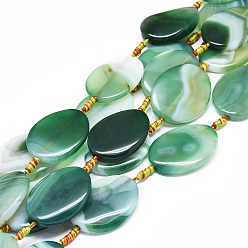 Средний Морско-зеленый Натуральный полосатый агат / полосатые агатовые бусы, окрашенная и подогревом, витых овальных, средний морской зеленый, 39~41x29~31x5~7 мм, отверстие : 1.8 мм, около 8 шт / нитка, 15.94 дюйм (40.5 см)