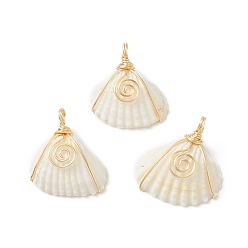 Золотой Подвески из медной проволоки с натуральной спиралью, подвески из ракушек с вихрем, золотые, 24.5~26x22~24.5x8~8.5 мм, отверстие : 3.5 мм