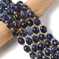 Содалитовое Природный содалит бисер нитей, граненые, рис, с бисером, 7.5~8x6~7.5 мм, отверстие : 0.8~1 мм, около 36~40 шт / нитка, 15.55~15.75'' (39.5~40 см)