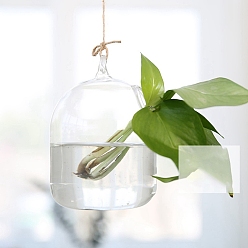 Bottle Подвесные стеклянные горшки для растений, Прозрачная гидропонная стеклянная ваза для украшения дома в саду, бутылка, 120 мм