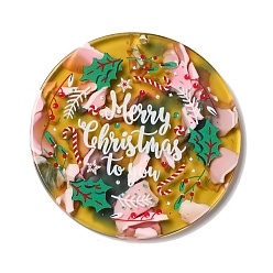 Holly Leaves Прозрачные рождественские подвески из ацетата целлюлозы (смола), плоские круглые прелести, Листья падуба, 44x3 мм, отверстие : 1.8 мм