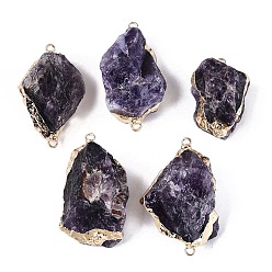 Аметист Необработанные натуральные аметистовые самородки, соединительные подвески, звенья из латуни с драгоценными камнями в оправе, золотой свет, 28~48x21~37x16~30 мм, отверстие : 1~2 мм