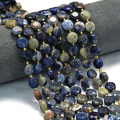 Содалитовое Нити бусин из натурального оранжевого содалита, граненый шестиугольный разрез, плоско-круглые, с бисером, 10~10.5x6 мм, отверстие : 1 мм, около 31~32 шт / нитка, 15.35''~15.55'' (39~39.5 см)