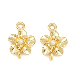 Настоящее золото 18K Латунные подвески с соединительными элементами из АБС-пластика, имитирующими жемчуг, цветок ссылки, без кадмия и без свинца, долговечный, стойки покрытие, белые, реальный 18 k позолоченный, 16.5x11.5x4 мм, отверстие : 1.6 мм