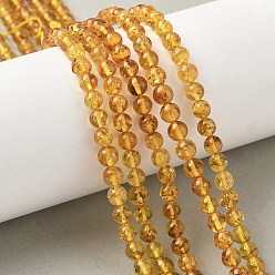 Янтарный Янтарные шарики нити, круглые, 5 мм, отверстие : 0.5 мм, около 71 шт / нитка, 14.17 дюйм (36 см)