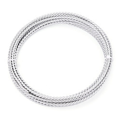 Серебро 5м 2-слойная анодированная алюминиевая проволока, витых круглых, гибкая металлическая проволока, гибкий провод ремесла, для бисероплетения, серебряные, 3~4 мм, около 16.40 футов (5 м) / рулон