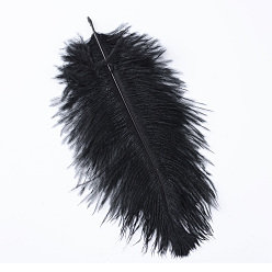 Black Ostrich Feather Costume Accessories, Dyed, Black, 25~30cm