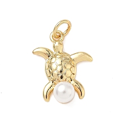 Tortoise Латунные подвески, с абс пластмассовой имитационной жемчужиной, без кадмия и без свинца, долговечный, стойки покрытие, реальный 18 k позолоченный, с целью перехода в кольце, черепаха, 18x13.5x6.5 мм, отверстие : 3 мм