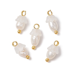 Снежный Цветочные акриловые подвески, с латунными штифтами с шаровидной головкой и бусиной из натурального культивированного пресноводного жемчуга, матовые, снег, 11.5x6 мм, отверстие : 1.6 мм