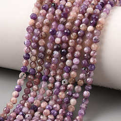 Чароит Естественно чароитовыми бисер пряди, граненые, круглые, 3~3.5 мм, отверстие : 0.7~0.8 мм, около 130~132 шт / нитка, 15.35''~15.59'' (39~39.6 см)