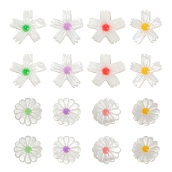 Couleur Mélangete 16 pcs 8 perles de coquillage d'eau douce naturelles de style, avec l'émail, fleur, couleur mixte, 12~15x4~4.5mm, Trou: 0.9mm, 2 pcs / style