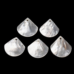 Shell Shape Натуральный белый оболочки подвески, белые, шарм в форме ракушки, 24.5~26.5x25~26x3~5 мм, отверстие : 1.8 мм