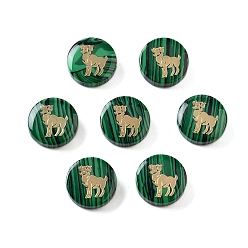 Овен Синтетические малахит бусины, с золотистыми латунными пластинами, плоский круглый с созвездиями, Овен, 15x4 мм, отверстие : 1 мм