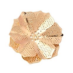 Золотой Шапочки и конусы для бусин, латунные, цветок, золотые, 30.5x27x4 мм, отверстие : 1 мм