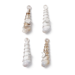 (52) Непрозрачная лаванда Подвески из меди, акрила и пластика, форма раковины, разноцветные, 38.5x11x12~14 мм, отверстие : 3 мм