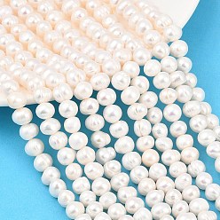 Бежевый Нити из натурального культивированного пресноводного жемчуга, картофель, класс 2а+, бежевые, 7~8 мм, отверстие : 0.5 мм, около 50~52 шт / нитка, 13.35'' (33.9 см) ~ 13.46'' (34.2 см)