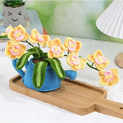 Champagne Yellow DIY Phalaenopsis Planter Display Decoration Knitting Kits for Beginners, Include Cotton Filler, Crochet Hooks, Polyester Yarn, Craft Eye, Crochet Needle, Stitch Markers, Instrction, Champagne Yellow, 25x35cm
