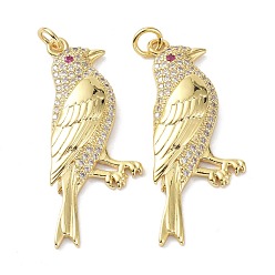 Настоящее золото 18K Латунные микро проложить кубический цирконий подвеска, с прыжковых колец, долговечный, птица, без свинца и без кадмия, реальный 18 k позолоченный, 36x15x4.5 мм, отверстие : 3.4 мм