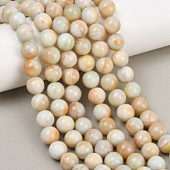Морская Ракушка Ручной работы бусины прядь, имитация нефрита, круглые, цвет морской раковины, 10~10.5 мм, отверстие : 0.5 мм, около 36~38 шт / нитка, 13.98~15.35'' (35.5~39 см)