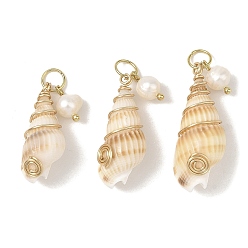 Doré  Pendentifs en coquillage naturel enroulés de fil de cuivre en spirale, charme de conque, avec des perles de culture d'eau douce naturelles et des anneaux de jonction ouverts en acier inoxydable, or, 304mm, Trou: 25.5~31.5x11~13x9~11mm