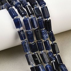 Содалитовое Природный содалит бисер нитей, колонка, граненые, с бисером, 6.5~11x5.5~7.5x5.5~7.5 мм, отверстие : 0.8 мм, около 35~37 шт / нитка, 14.96''~15.75'' (38~40 см)