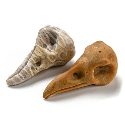 Fossil Coral Natural Fossil Coral Pendants, Bird Head Skull Charms, 47~49x20~22x20~22mm, Hole: 2~2.5mm