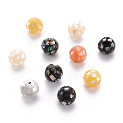 Mixed Color Natural Mixed Shell Beads, Round, Mixed Color, 10.5mm, Hole: 1mm