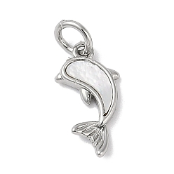 Платина Латунь с подвесками из ракушек, дельфин, платина, 9.5x14x2 мм, отверстие : 3 мм