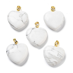 Говлит Природные подвески Говлит, с латунной фурнитурой , сердце, 22~23x20x5 мм, отверстие : 6.5x3.5 мм