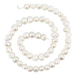 Морская Ракушка Набор ювелирных изделий diy, включая нити натурального культивированного пресноводного жемчуга, нейлоновый шнур, стальные иглы для бисероплетения с большим ушком, цвет морской раковины