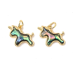 Настоящее золото 18K Подвески-единороги из натуральной ракушки пауа, с латунными оправами и соединительными кольцами, реальный 18 k позолоченный, 14x16.5x3 мм, отверстие : 3 мм