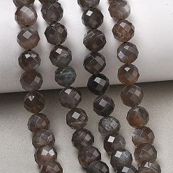Black Moonstone Натуральный черный лунный камень бисер пряди, класс А, граненый (64 граней), круглые, 10 мм, отверстие : 1 мм, около 43 шт / нитка, 15.35'' (39 см)
