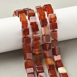 Красный Нити бусин из натурального полосчатого агата (окрашенного и нагретого), кубические, с бисером, красные, 8~8.5x8~8.5x8~8.5 мм, отверстие : 1.2 мм, около 38~39 шт / нитка, 14.96'' (38 см) ~ 15.35'' (39 см)