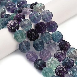 Флюорит Нити резных бусин из натурального флюорита, цветок, 12~12.5x8~8.5 мм, отверстие : 1 мм, около 33 шт / нитка, 15.94'' (40.5 см)