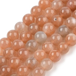 Multi-Moonstone Нити из натуральных бусин из нескольких лунных камней, бусины из лунного и солнечного камня, круглые, 6 мм, отверстие : 1 мм, около 65 шт / нитка, 15.7 дюйм