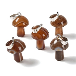 Banded Agate Natural Banded Agate Pendants, Mushroom Charms, with 304 Stainless Steel Snap on Bails, Stainless Steel Color, Dyed & Heated, Coffee, 24~25x16mm, Hole: 7.5x4mm