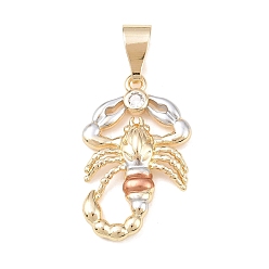 Scorpion Латунные подвески, платина & золотой & розового золота, скорпион, 30x19x4.5 мм, отверстие : 9x4.5 мм