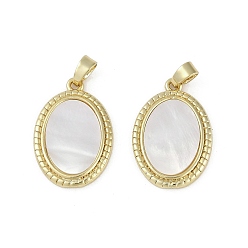 Настоящее золото 18K Подвески из латуни из натуральных ракушек, овальные амулеты, реальный 18 k позолоченный, 22x15x2.5 мм, отверстие : 3x5 мм